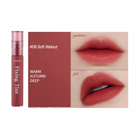 Купить [SALE] ETUDE HOUSE FIXING TINT - #06 SOFT WALNUT (4gr) [EXP 01/2025]